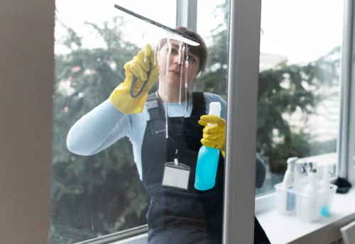 Nettoyage de vitres intérieures et extérieures à Montgailhard